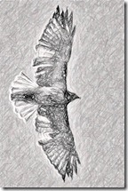 LJK_3288-v-P-11 LJK_3288-v-P-11