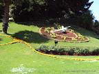 Dsc01344