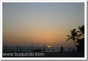 IMG_8113 IMG_8113