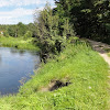 dwie drogi dsc01868.jpg