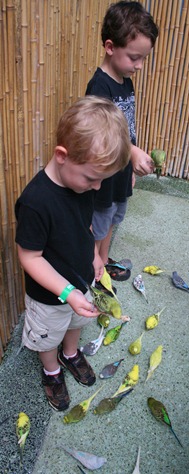 IMG_4706 IMG_4706