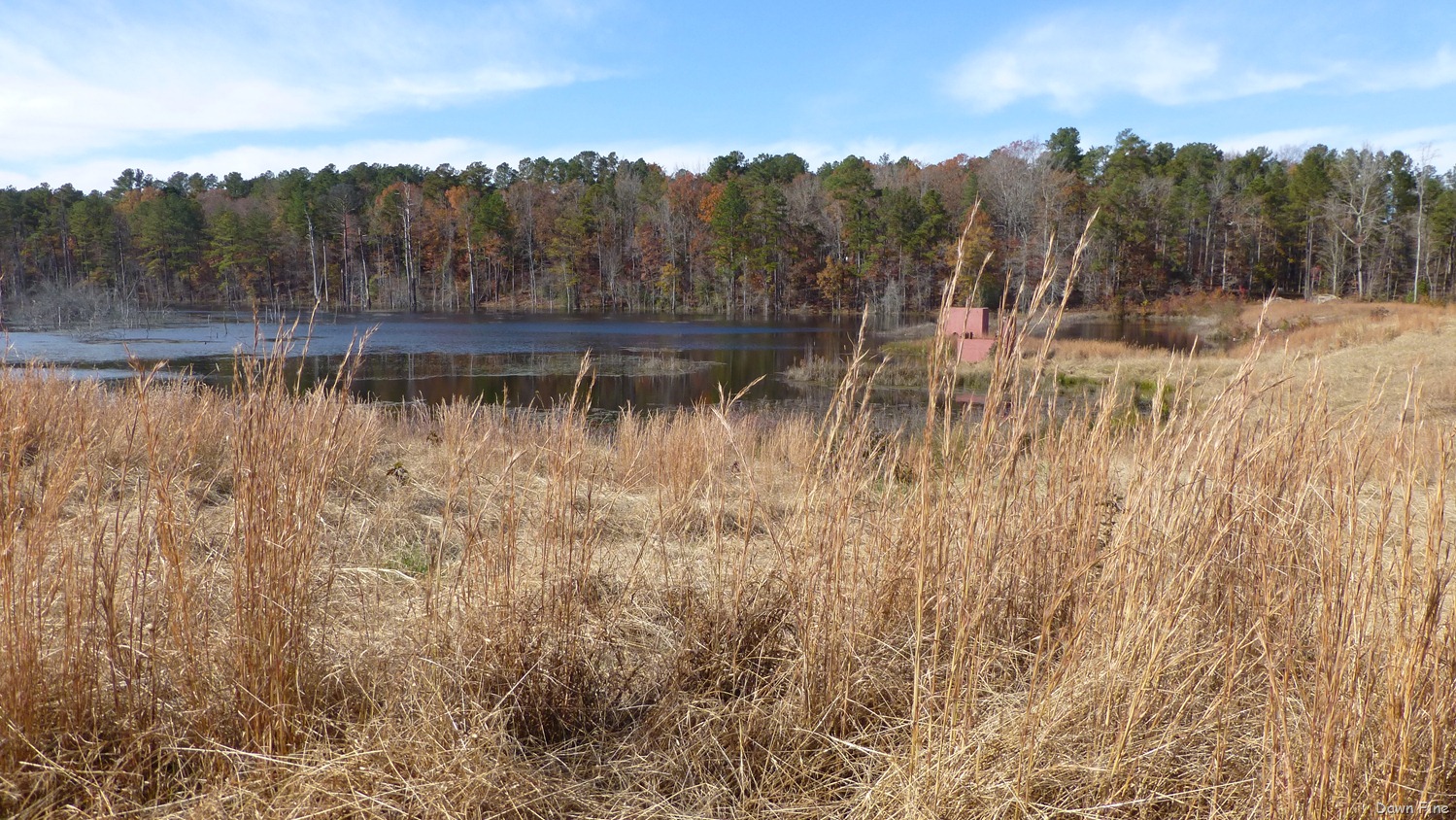 [Greenway_0013.jpg]