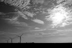IMG_8688.JPG