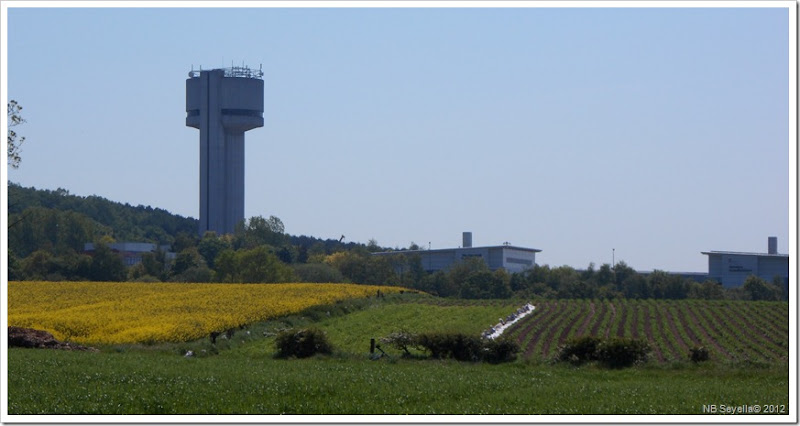 SAM_0322 Daresbury