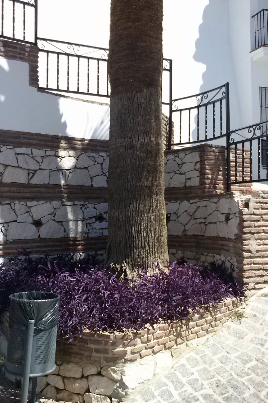 Artesanos de la construcción: MUROS DE PIEDRA