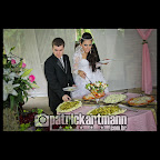 IMG_4156.jpg