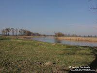 dsc07338.jpg