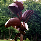 Steel'DiCoty1 copy.jpg