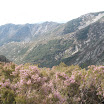 P4120117.JPG