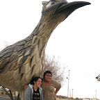 IMGP0768.JPG