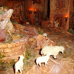 1486-11.JPG