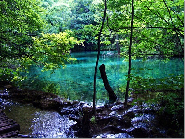 amazing-waterfalls-of-plitvice-lakes-in-croatia-15