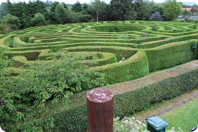IMG_0844 IMG_0844