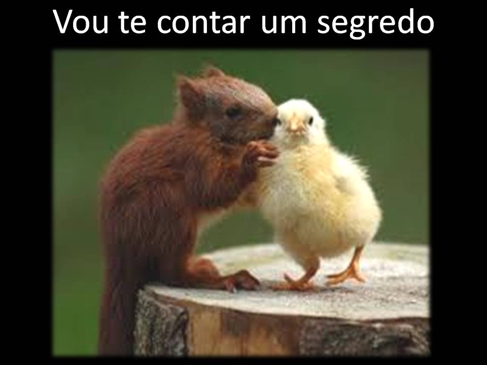 [acao_reacao%255B2%255D.jpg]