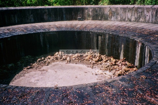 Mummification body in Tower of Silence 03