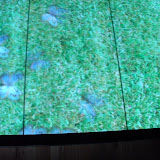 BILD0682.JPG