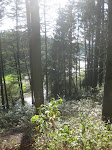 http://lh6.ggpht.com/-9Ke8jzzWsuY/ToLxh280Y8I/AAAAAAAABzo/jk4u4uRoL9Q/Butgenbach%252520075.JPG