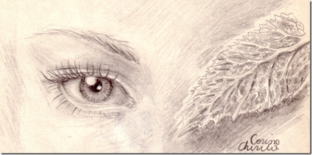 Un ochi strain si o frunza de pelin desen in creion