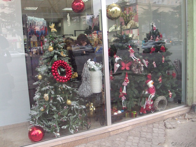[DSC05944%255B6%255D.jpg]