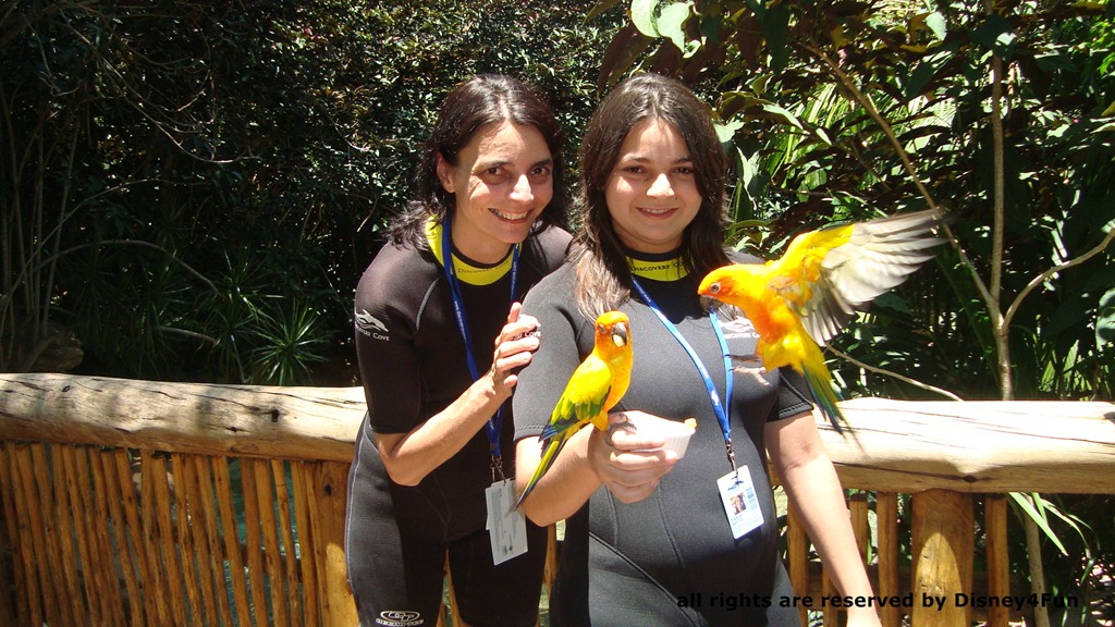 [DiscoveryCove3%255B3%255D.jpg]