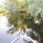 DSCN4464.JPG