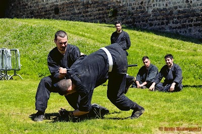 Enbu-castello11.jpg