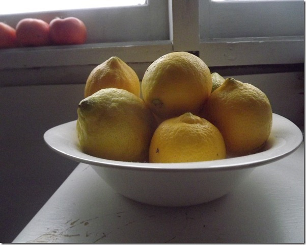 [DSCF2035_thumb23.jpg]