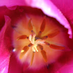 IMG_4139.JPG