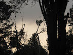 Victoria Park