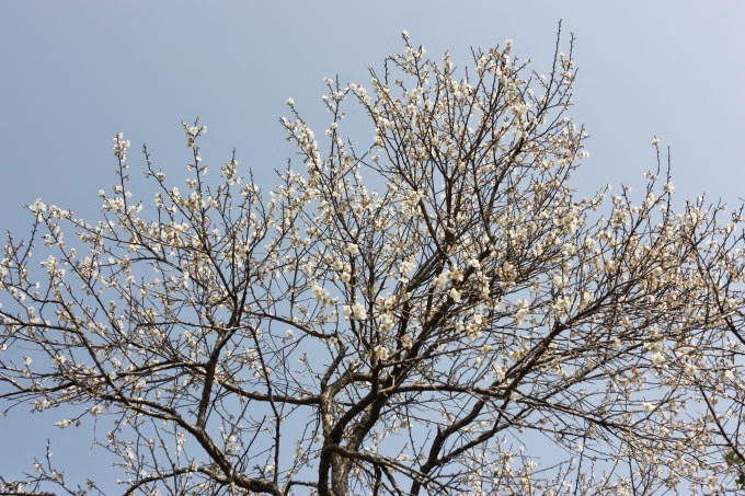 2014_0105_124659 2014_0105_124659