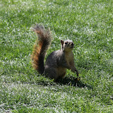 IMG_2681.JPG