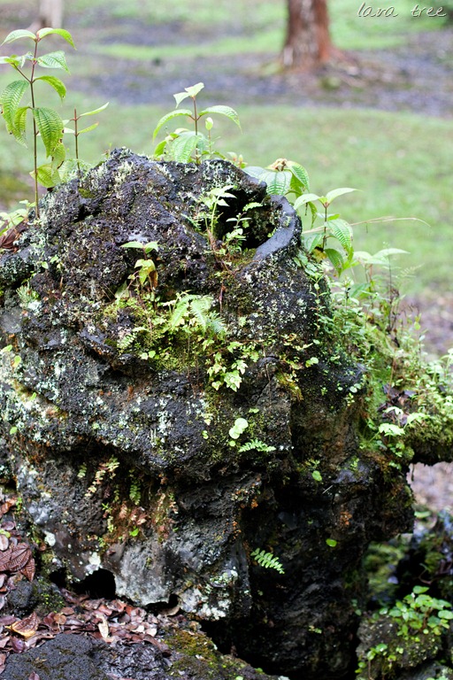 [20121214-IMG_3038%255B13%255D.jpg]