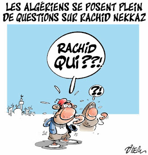 Les algériens se posent plein de questions sur Rachid Nekkaz