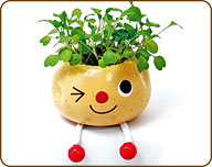 And if you'd rather not have your herbs growing out of an egg at all, but rather, a potato, you're also in luck. Taterpot, about $11.99, eggling.com for stores. And if you'd rather not have your herbs growing out of an egg at all, but rather, a potato, you're also in luck. Taterpot, about $11.99, eggling.com for stores.