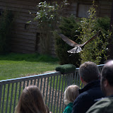 Cub Pack Holiday - Skreens Park 2012 - DSC_0130.jpg