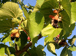 IMG_3454.JPG