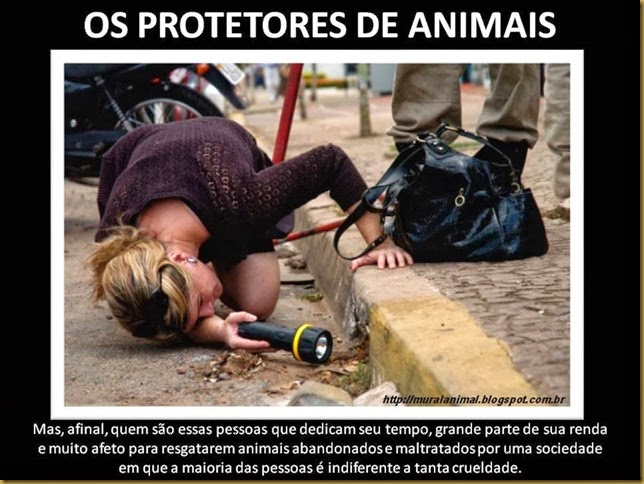 protetor-animais (1)