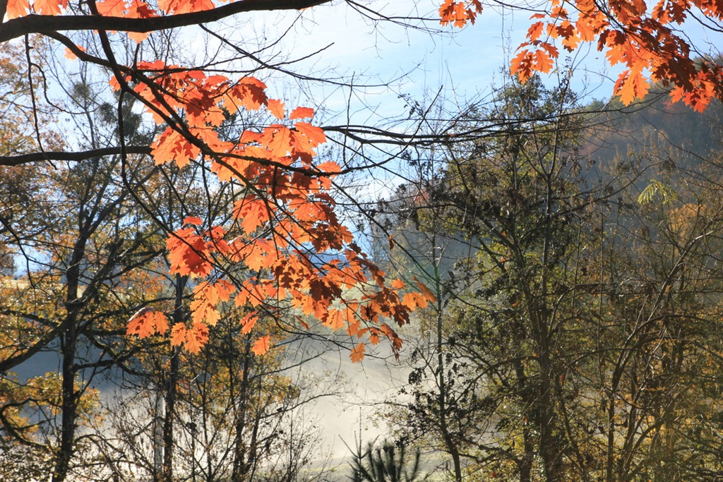 [IMG_3155%255B3%255D.jpg]