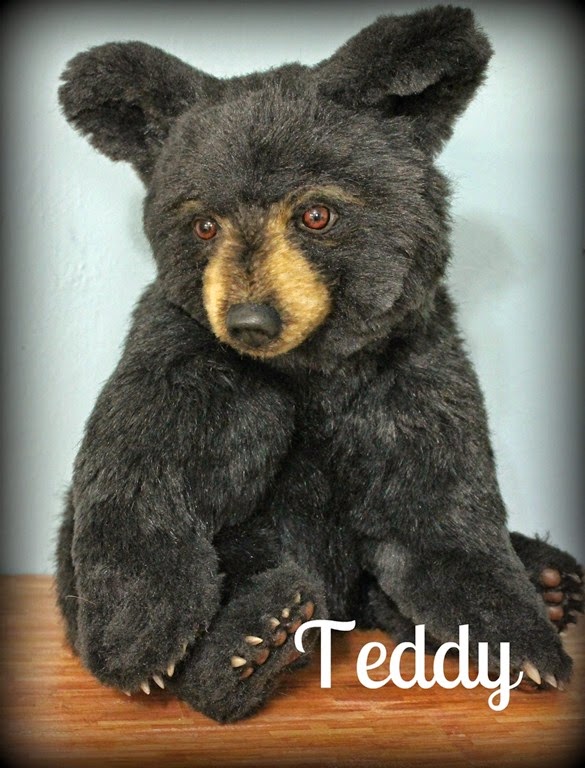 [Teddy-tag3.jpg]