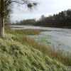 dsc07086.jpg