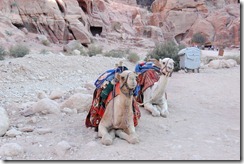 Oporrak 2011 - Jordania ,- Petra, 21 de Septiembre 496 Oporrak 2011 - Jordania ,- Petra, 21 de Septiembre 496