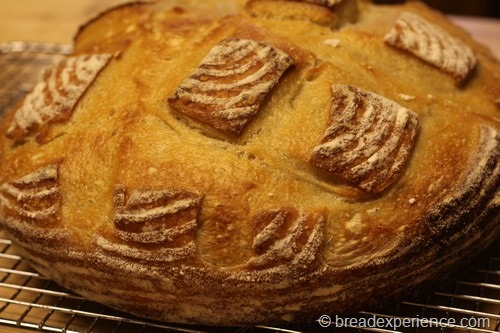 [sourdough-bread051%255B7%255D.jpg]