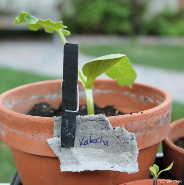 [Spring%2520Vegetables%2520via%2520homework%2520%25287%2529-001%255B24%255D.jpg]