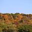 Fall Colors
