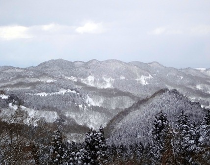 DSC04865 DSC04865