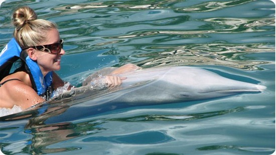PuertoA_Dolphins