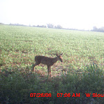 MDGC0008.JPG