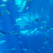Ga & FL trip 108.JPG