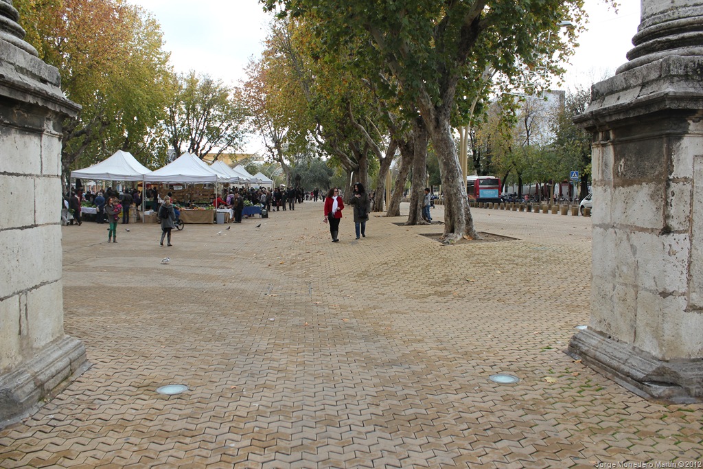 [IMG_8155%255B7%255D.jpg]