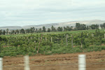 IMG_7467.JPG